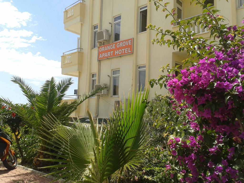 אלאניה Orange Grove Apart Hotel מראה חיצוני תמונה